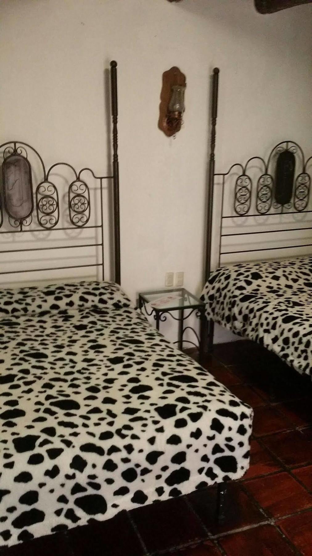 Hotel Posada Morelos サカテカス エクステリア 写真